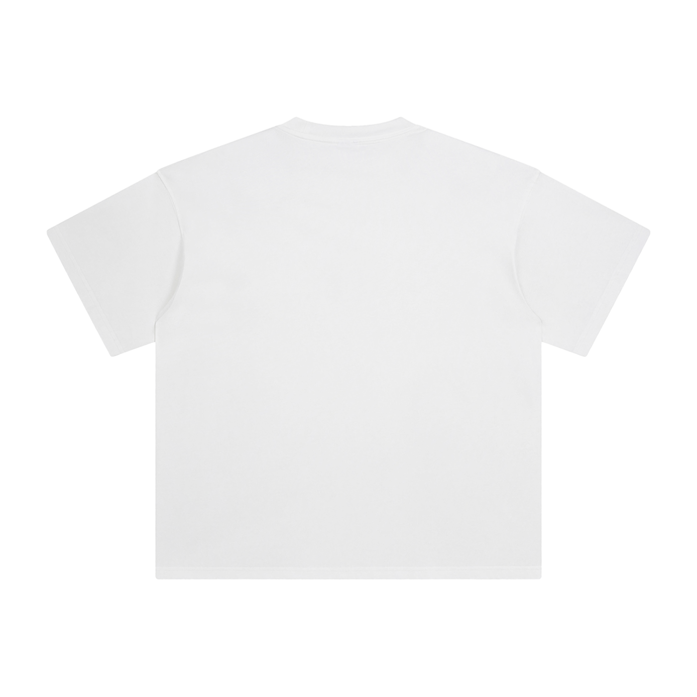 Enzyme Washed T-Shirt (LOSER)