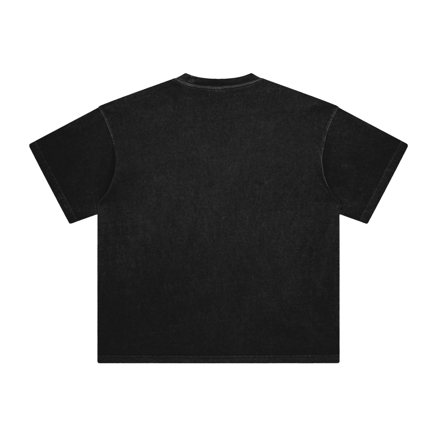 Enzyme Washed T-Shirt (LOSER)